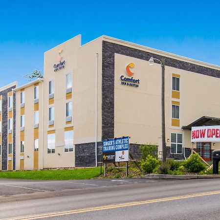Comfort Inn & Suites Harrisburg - Hershey West Bagian luar foto